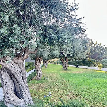 Bohemian Penthouse In Alsancak, Close To Merit Apartamento Cirénia